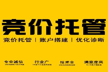 案例分析：百度竞价推广运营如何助力企业实现品牌突破